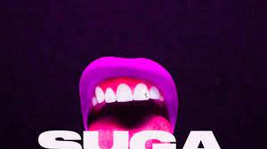 Megan-Thee-Stallion-The-Chopstars-Savage-chopnotslop-Remix-1.jpg