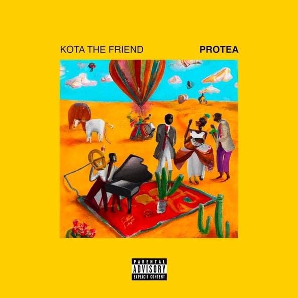 KOTA-the-Friend-Protea-1.jpg